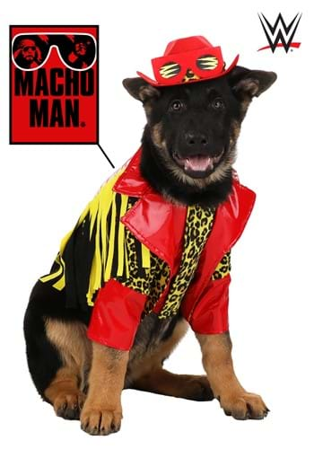 40 Best Dog Halloween Costumes 2023 - Cute Dog Costume Ideas