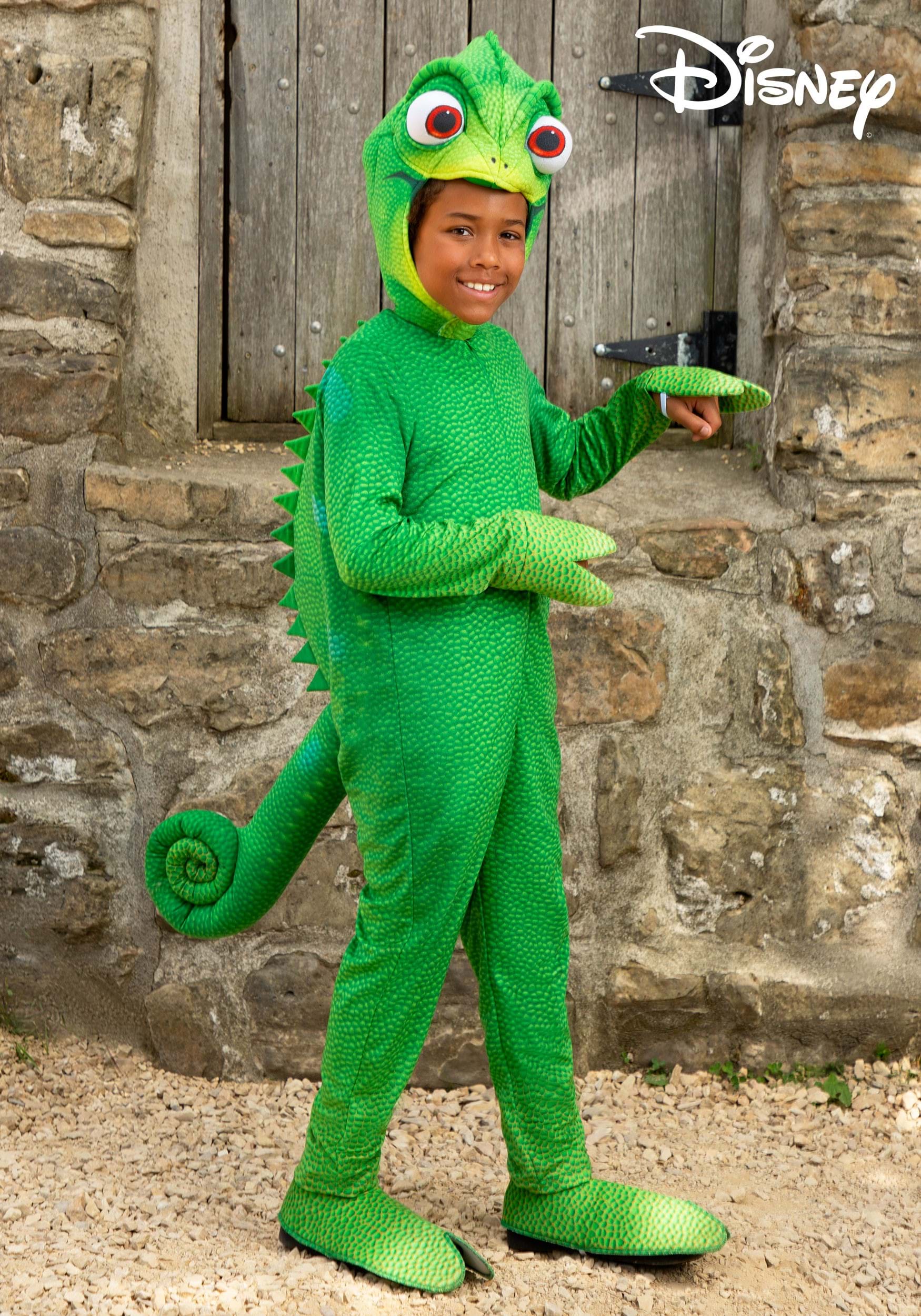 Disfraz de Pascal para niños de Disney enredado Multicolor