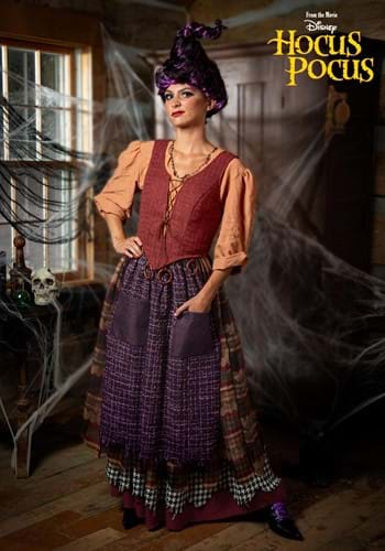 Hocus Pocus Mary Sanderson Womens Costume-0