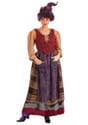 Women Authentic Hocus Pocus Mary Sanderson Costume Alt 2