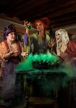 Womens Hocus Pocus Sarah Sanderson Costume Alt 1