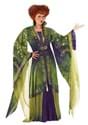 Women's Hocus Pocus Winifred Sanderson Costume Alt 12