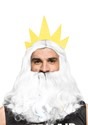Adult Triton Wig