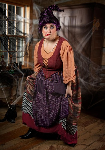 Women's Plus Size Hocus Pocus Mary Sanderson Costume