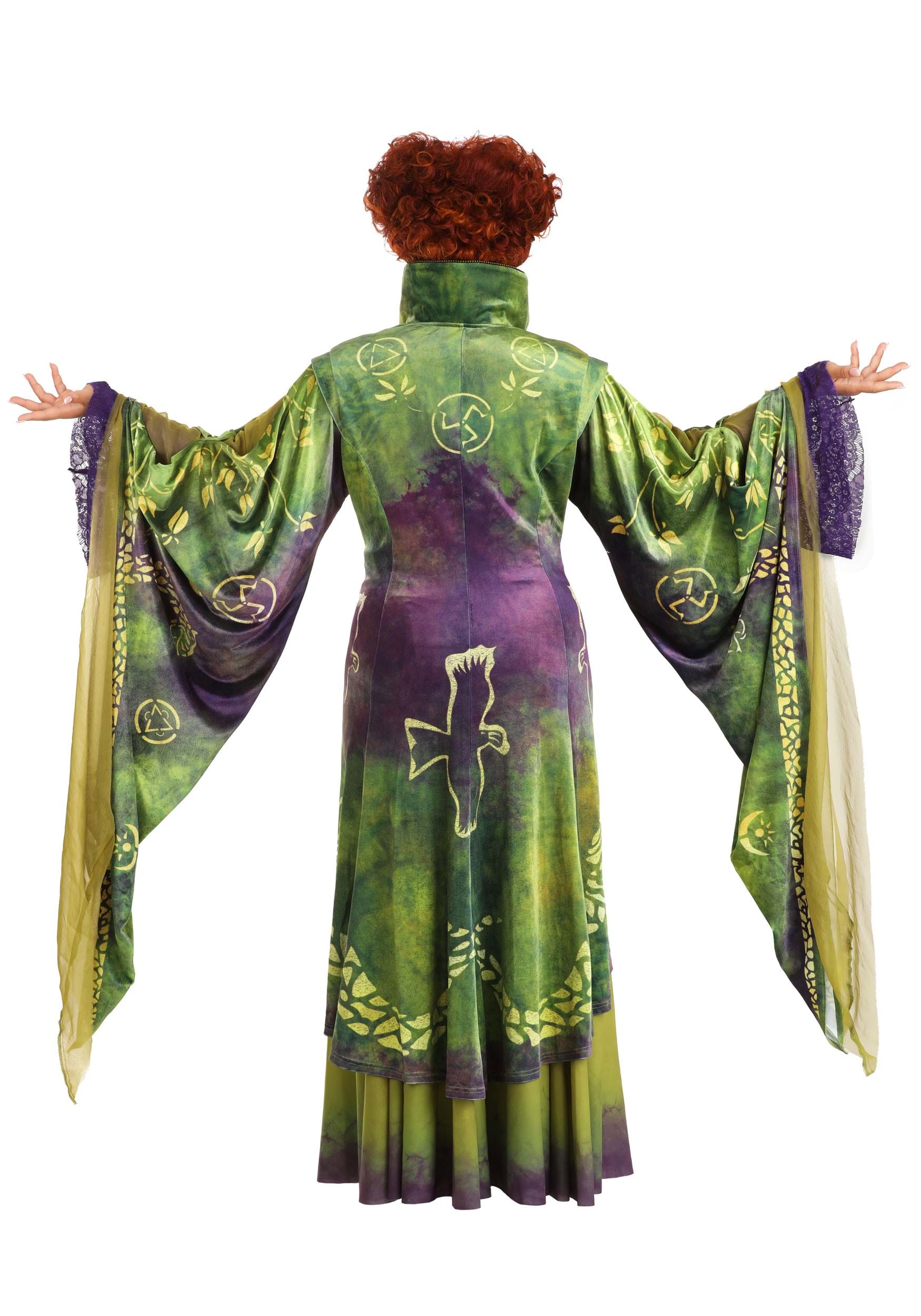 Hocus Pocus Winifred Sanderson Plus Size Womens Costume