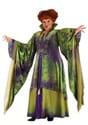 Plus Size Hocus Pocus Winifred Sanderson Costume Alt 2