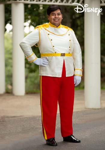 Plus Size Cinderella Prince Charming Men's Costume