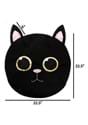 Cat MASKot Head Alt 5