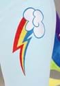 Adult My Little Pony Rainbow Dash Costume Alt 4
