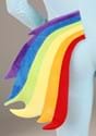 Adult My Little Pony Rainbow Dash Costume Alt 5