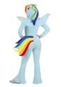 Adult My Little Pony Rainbow Dash Costume Alt 1