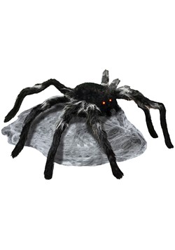 Animated Black Jumping Spider