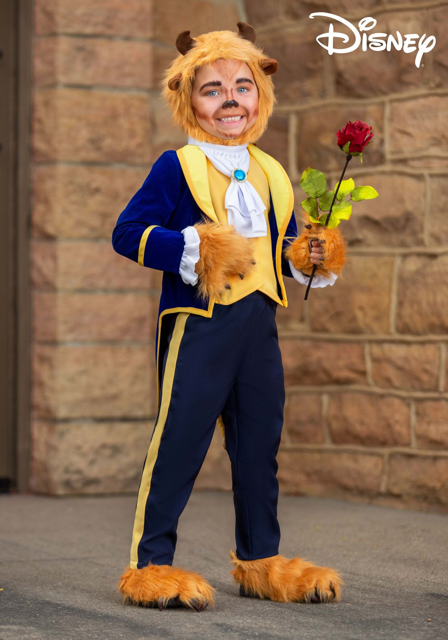 Beauty and the beast costume