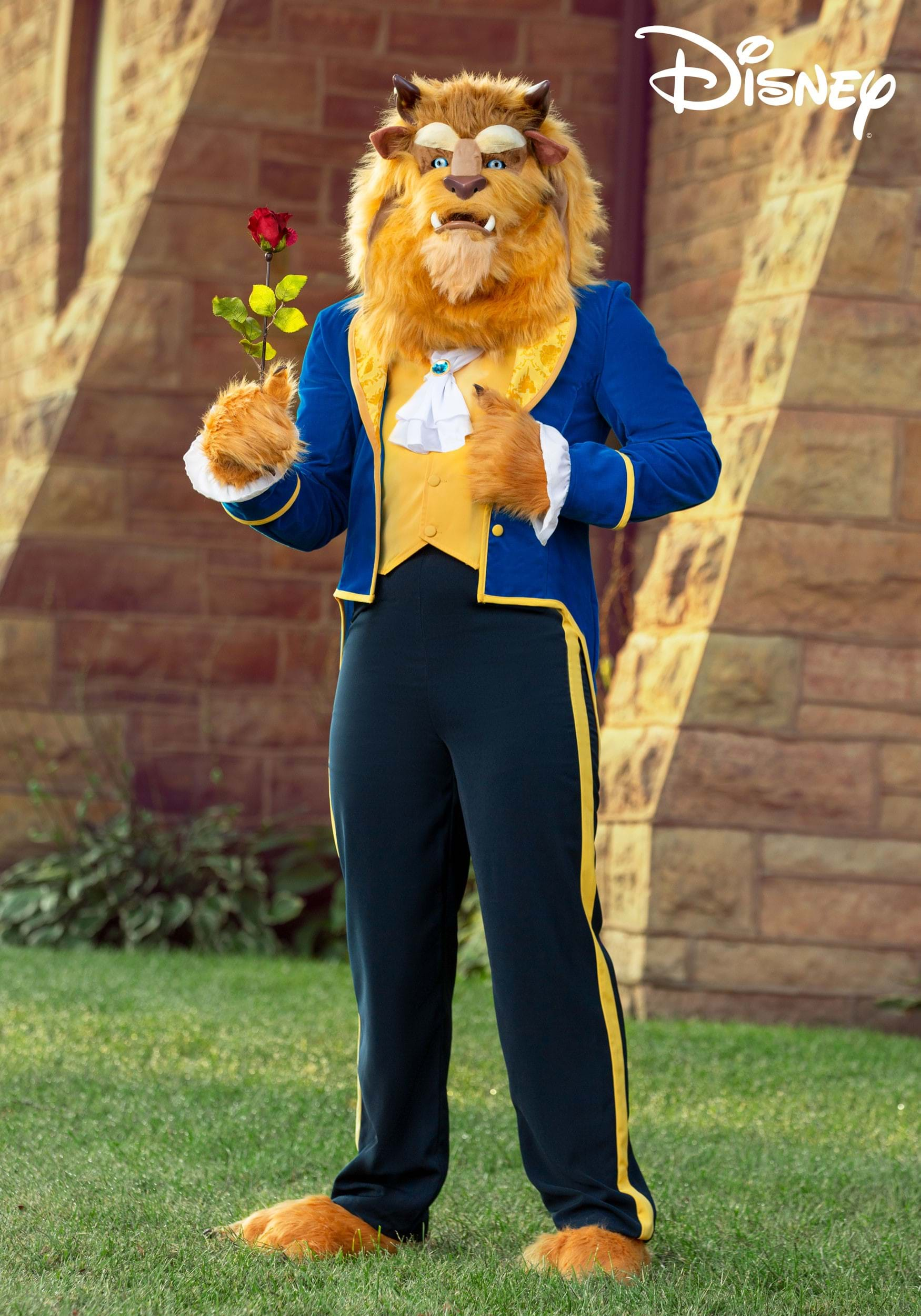 Disney Beauty and The Beast: Beast Dog & Cat Costume