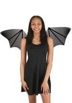 Adult Sheer Bat Costume Wings