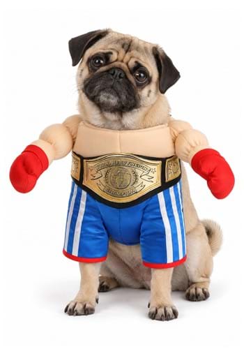 Champion Boxer Pet Costume upd