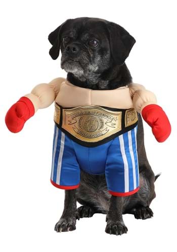 Pet Boxer Costume