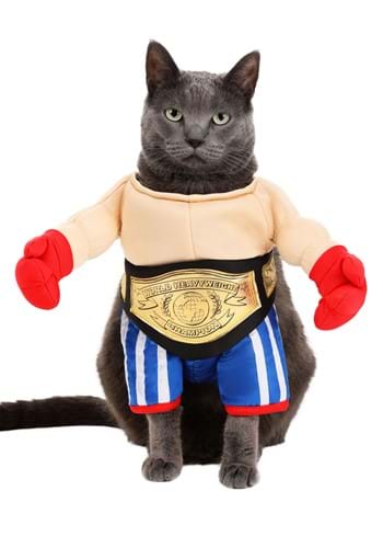 Champion Pet Boxer Costume | Halloween Dog Costumes