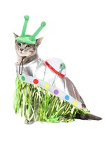 Unidentified Flying Dog Costume Alt 4