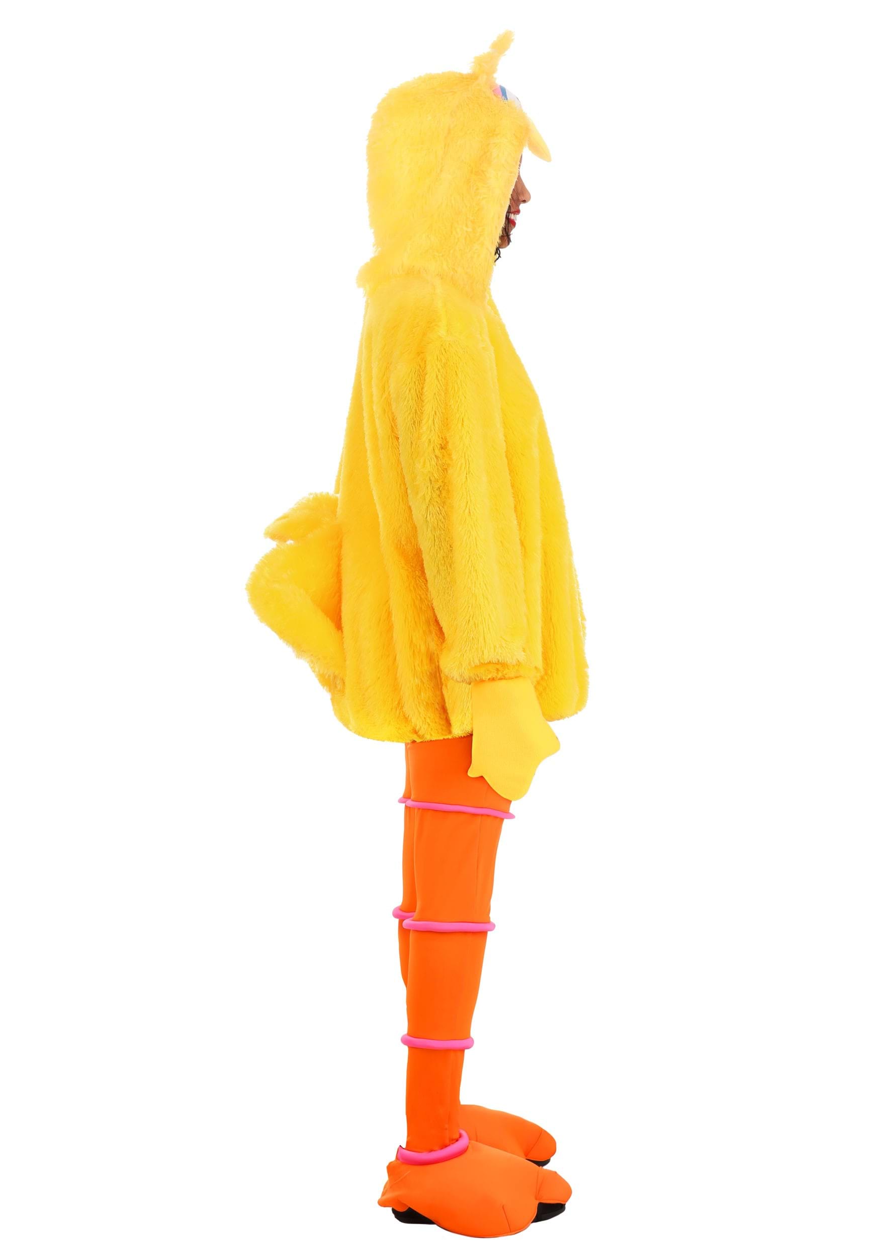 Sesame Street Cozy Big Bird Costume For Women , Sesame Street Costumes