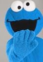 Adult Cookie Monster Mascot Costume Alt 6
