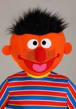 Sesame Street Ernie Mascot Costume Alt 1