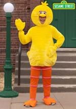 Adult Sesame Street Big Bird Costume