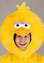 Adult Sesame Street Big Bird Costume Alt 4