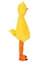 Adult Sesame Street Big Bird Costume Alt 3