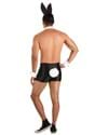 Men's Sexy Bunny Costume Alt 4