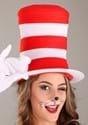 Cat in the Hat Adult Costume Alt 10