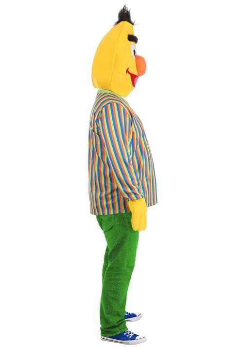 plus-size-sesame-street-bert-adult-costume