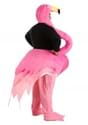 Plus Size Graceful Flamingo Costume Alt 1
