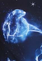 Unisex Harry Potter Patronus Ugly Sweatshirt Alt 4