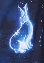 Unisex Harry Potter Patronus Ugly Sweatshirt Alt 9