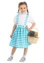 Toddler Gingham Kansas Girl Costume