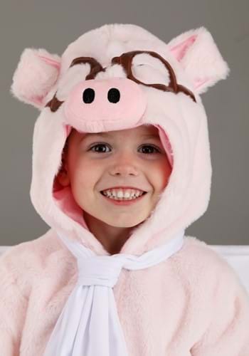 Flying Pig Toddler Costume | Pig Costumes