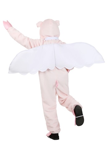 Flying Pig Costume for Kids