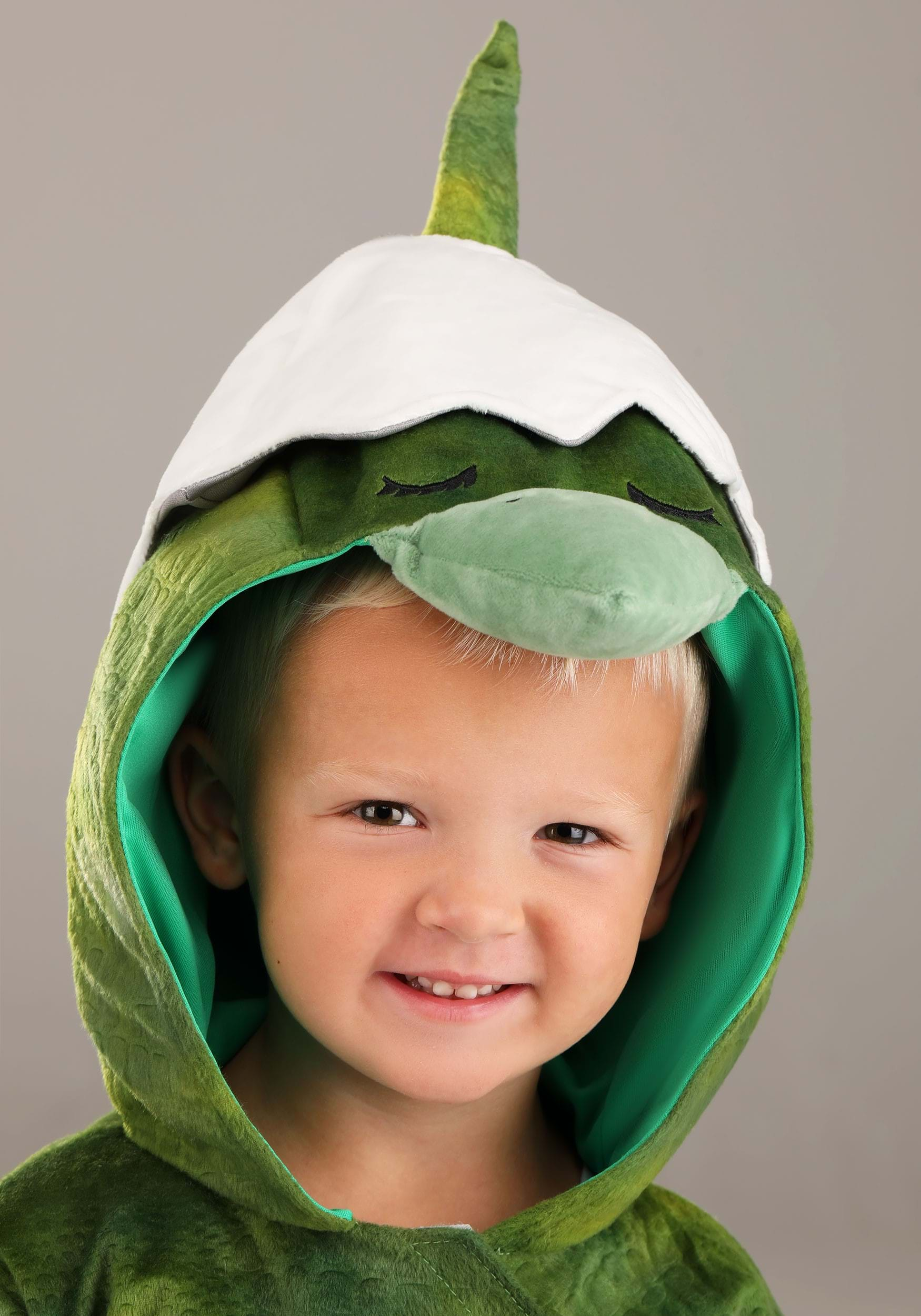 Child Pterodactyl Costume