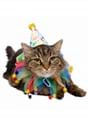 Clown Pet Costume Alt 6