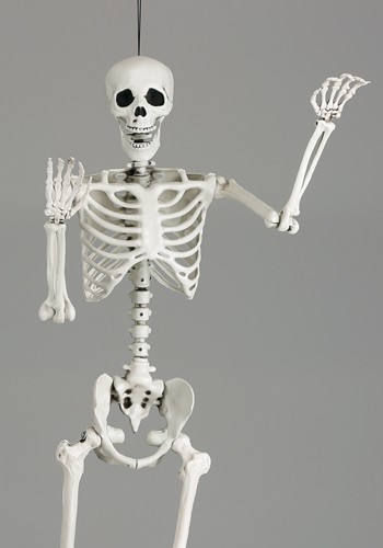 5FT Georgie the Skeleton Life Size Posable Decoration | Skeleton Decorations