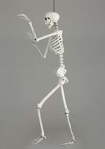 5 Ft Posable Skeleton Alt 2