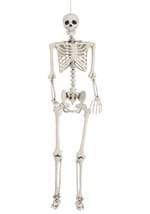 5 Foot Posable Skeleton Prop