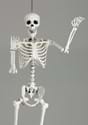 5 Ft Posable Skeleton Alt 1