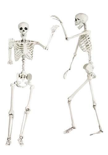 5 Foot Posable Skeleton Life Size Prop