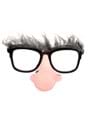 Adult Geezer Nose Glasses Alt 1