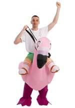 Inflatable Adult Flamingo Ride On Costume Alt 2