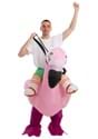 Inflatable Adult Flamingo Ride On Costume Alt 2