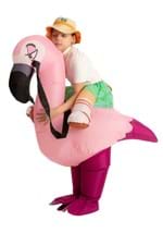 Inflatable Kids Flamingo Ride On Costume Alt 3