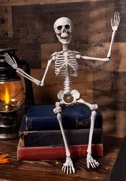 20 Poseable Skeleton